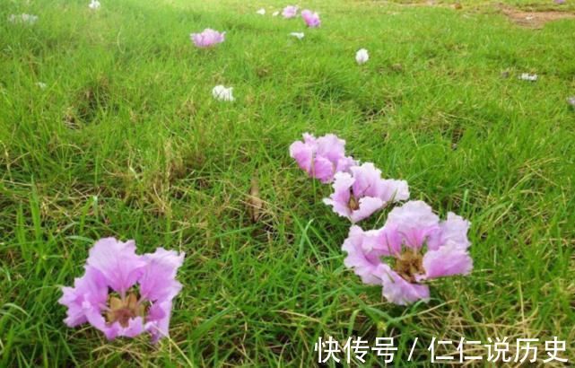 美好的时光!教人知道已春深,十首春深的诗词,去珍惜春天的每一寸时光!