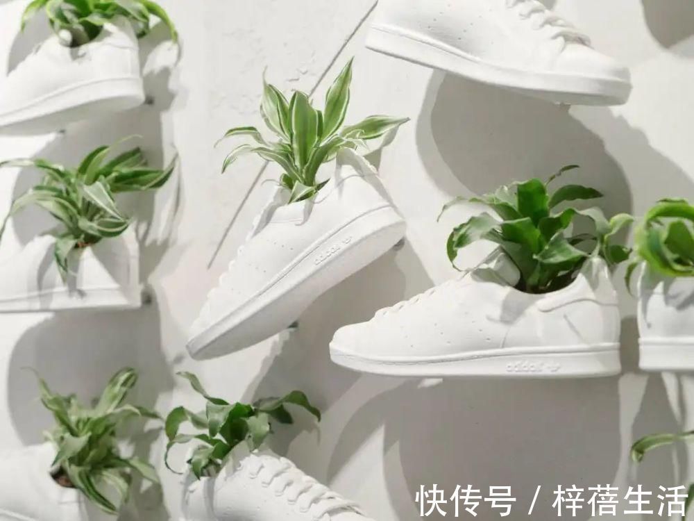 smith 侃爷竟和奥巴马撞鞋了！都五十年了，明星们还在抢着穿这双鞋！