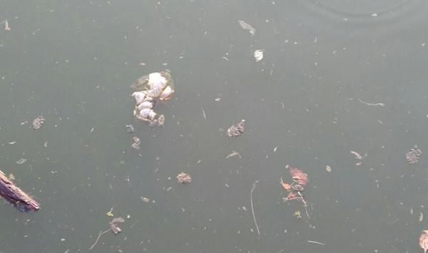 癌变|医生直言3类人的患癌率比普通人要高，更应该着手预防