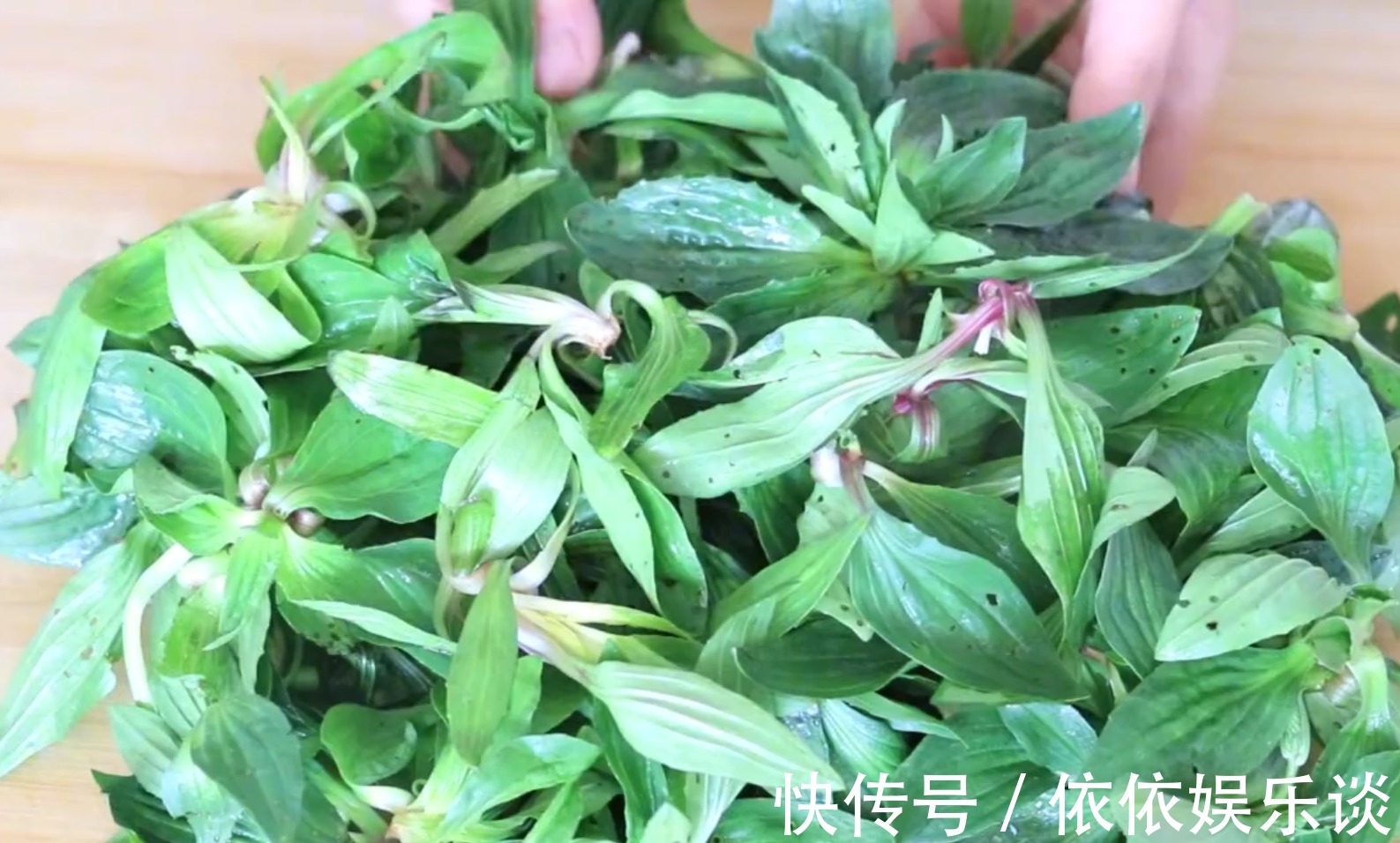 清肝明目|肝脏不好，这种野菜经常吃，清肝明目又祛火，缓解疲劳越吃越健康