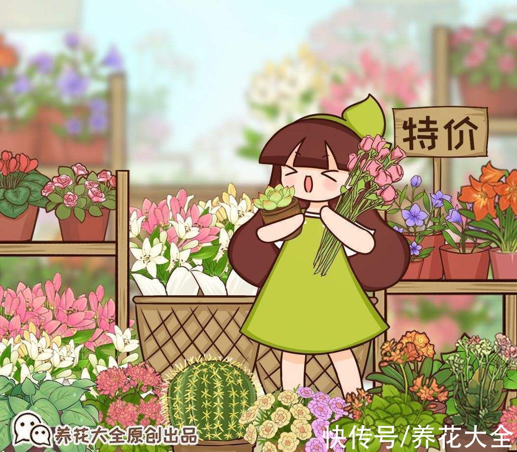 花瓣|秋天逛花市,看到5种花放心购买,秋天正是开花好时机