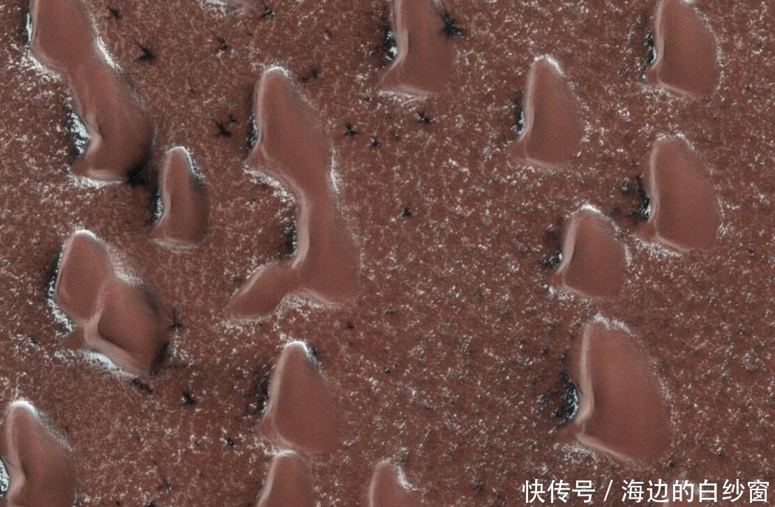 地图 火星上的水冰?专家提出钻探火星冰层的地图!