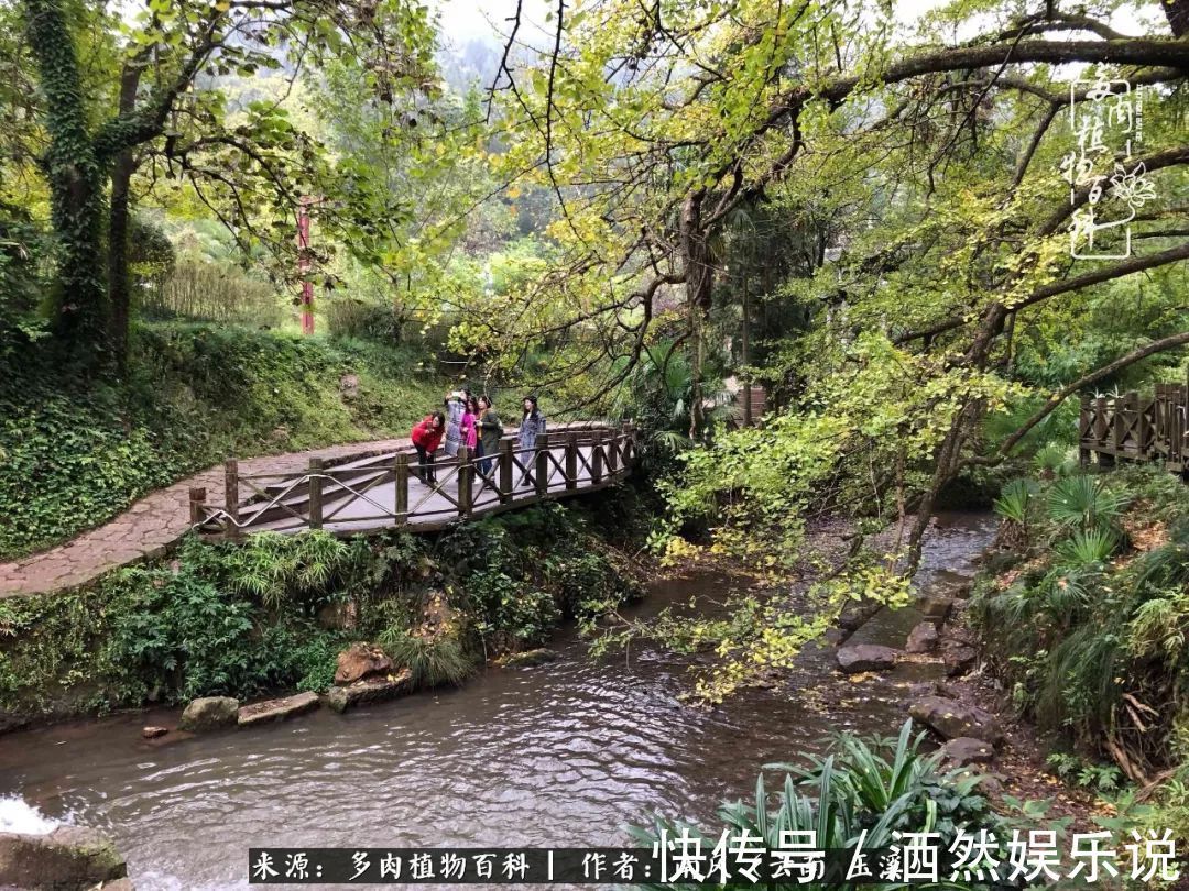 肉友|深秋里，种多肉、赏多肉、会肉友，马不停蹄快乐多！