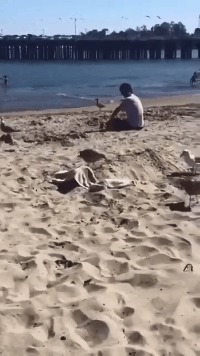 |搞笑GIF:地铁上遇到的小姐姐,真想去她们公司上班