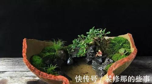 个性|破壶烂瓦做盆,每一个都破出了个性