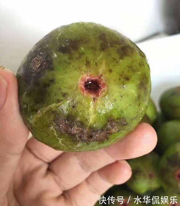 畸形果|挑选无花果时，要牢记“4挑3不挑”，很多人不懂，难怪又酸又涩