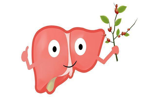 肝脏健康|肝脏的“解毒帮手”，不是大蒜，清肝护肝，经常吃，让肝更干净