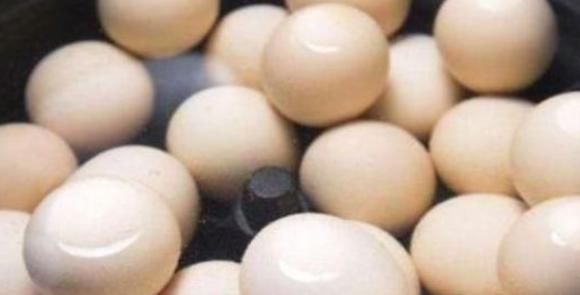 每天吃一个煮鸡蛋的人，身体更健康，但要切记“2不”，早知早好