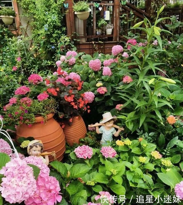 有了30平方的小院,能将日子过成了诗简单而精致,优雅而从容