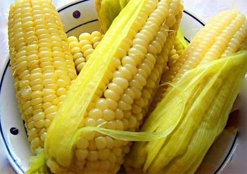 谷物类|让你吃不胖的3种主食!20天减掉22斤,不用节食都能瘦!