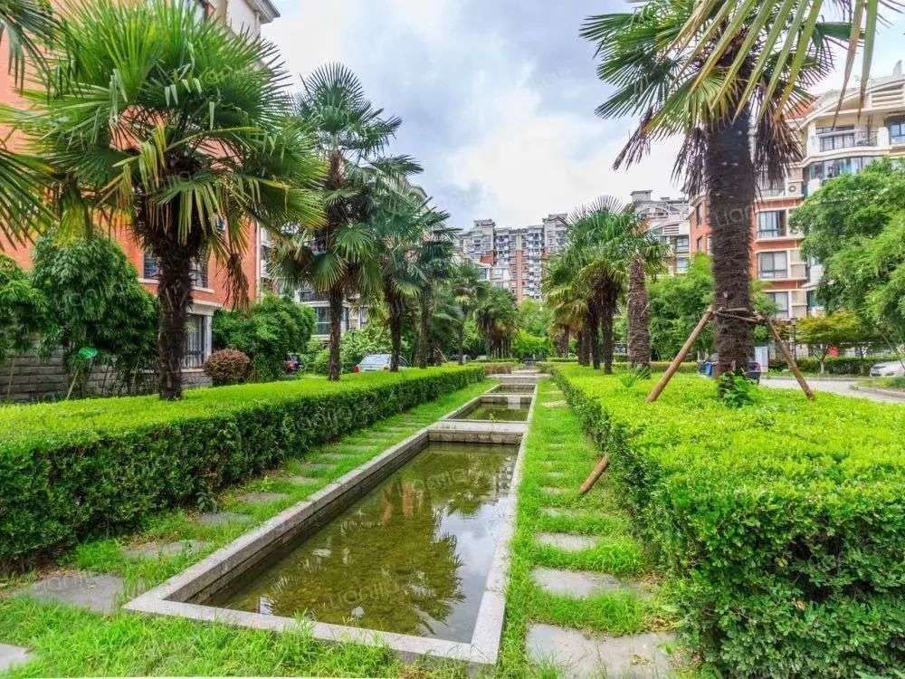 摇号|卖掉父母住了20年的房子去摇号?可能是你做过的最差决定