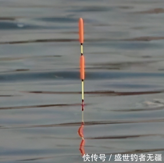 盛世|钓青鱼如何诱鱼？教你聚鱼方法和最能吸引青鱼的味型——盛世三渔