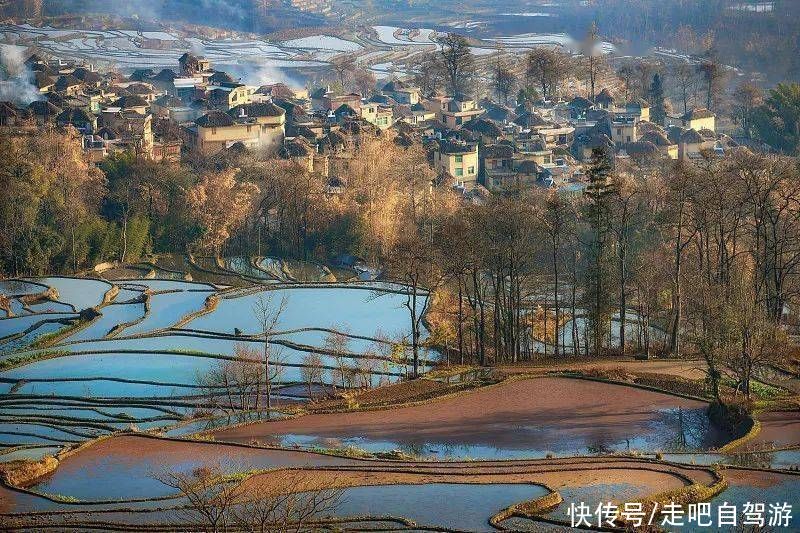 中国的春天究竟有多美？去这些地方看看就知道了