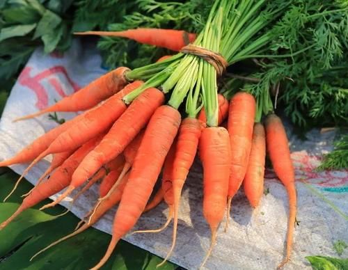 常吃|吃一口等于8斤胡萝卜，呼吁：这一护肝“卫士”可常吃，肝脏或会感激不尽