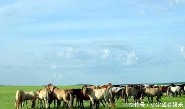 十部顶级种田文小说,质量上佳口碑好,你追过几部?