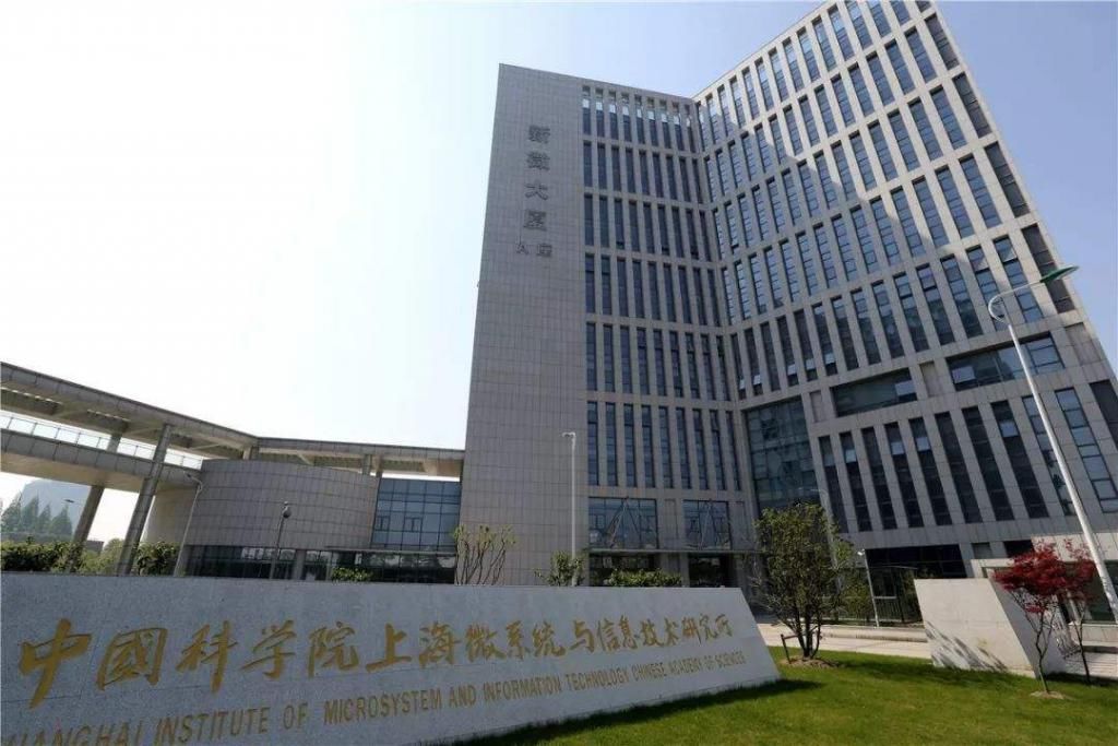 蚕丝|国外垄断有望打破,中科院正式宣布,真是大快人心