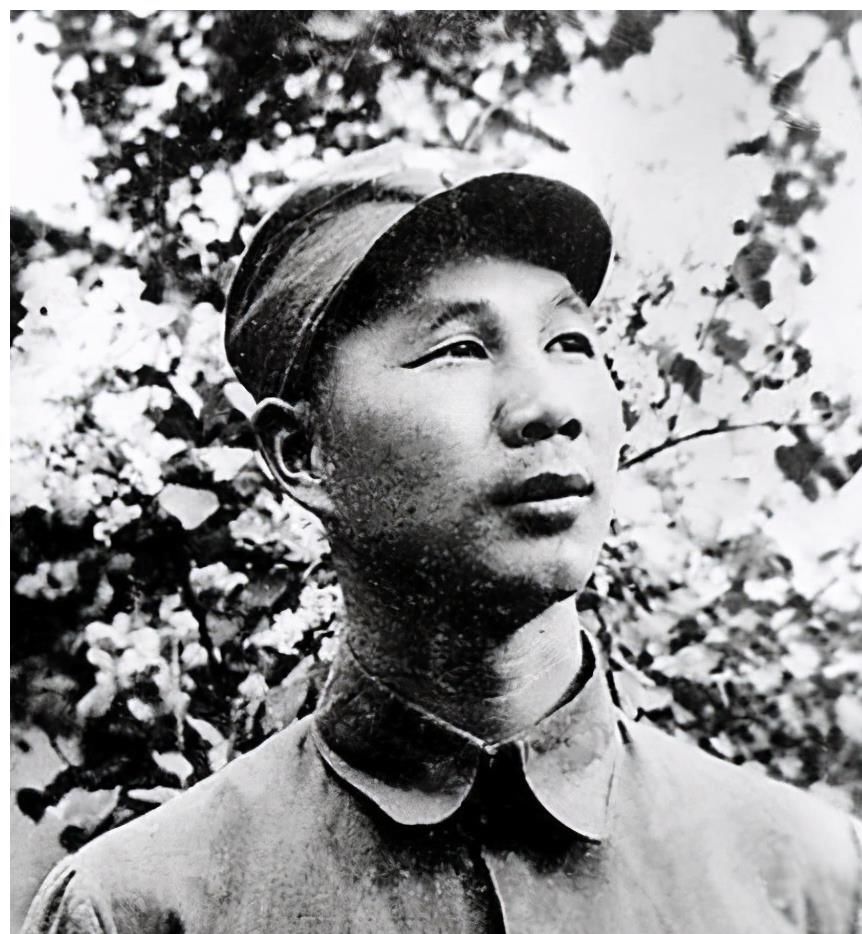 天死|美军坦克切入文登川，3天死1.7万人，杨成武：一辆都别想过去