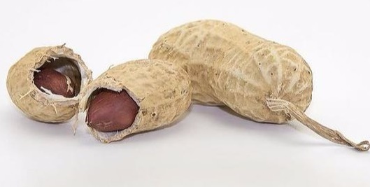 高血压|高血压病人吃花生如吃“毒药”专家说别被骗了!