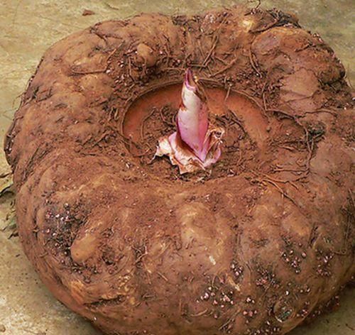 睡眠|女性夏天都爱美,坚持多吃的食物,改善情绪,舒缓压力,睡眠充足