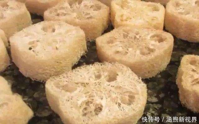 海绵|刷碗布、老丝瓜别扔了,垫在花盆底,叶子油亮,根系健康!