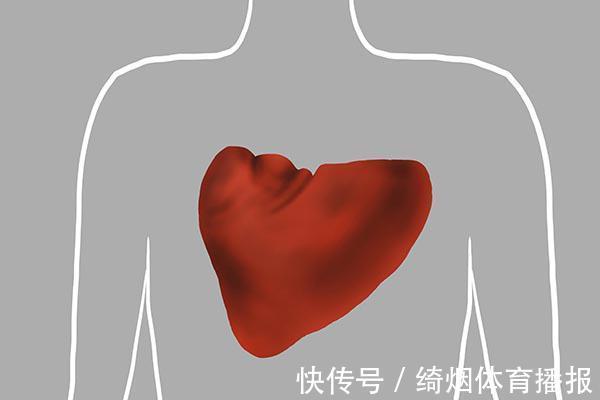 脾脏|治脾虚,到底吃白术好,还是吃茯苓好?茯苓白术怎么吃?听中医说