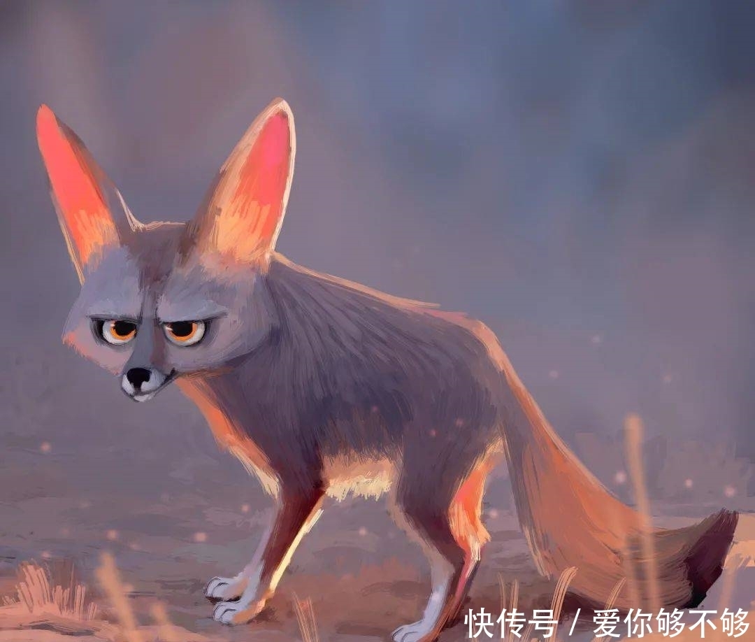 插画|三组各具特色的动物插画,看完很治愈~