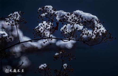 界河|卧龙关冰瀑，号称完爆虎牙，只因这里生活着大熊猫和雪豹吗