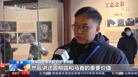  铜像|马首铜像回归圆明园 将展出三年