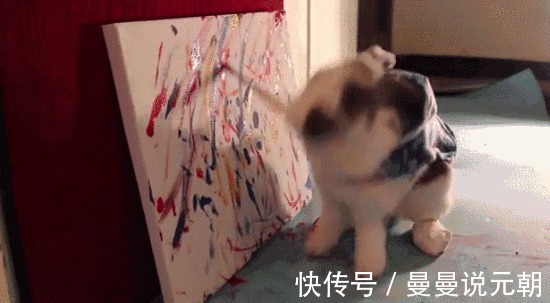 宝宝|“你的毕业证废了”3岁儿子毁了宝妈毕业证书,宝爸已经在打了