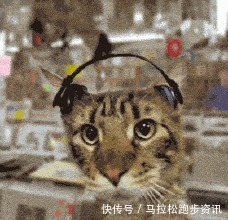 周杰伦|夏季限定跑步歌单 一起去听夏天的风