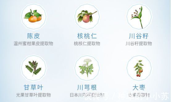 山茶花|洗面奶挑不好?那是你还没遇到“它”,公认好用的洗面奶之一