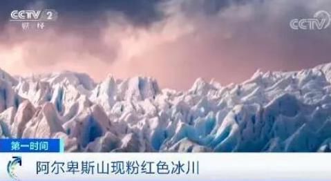 老年|南极又现“西瓜雪”，但这一点也不浪漫……