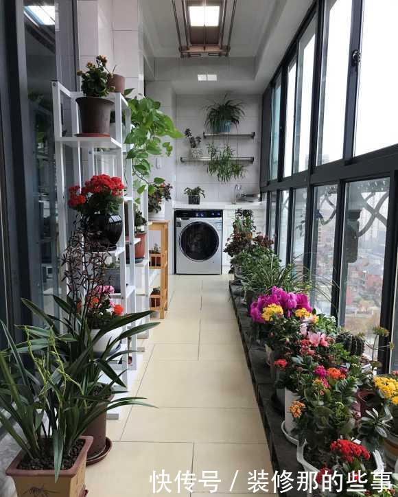 玛格丽特|8种漂亮花,夏天“少浇水”,浇一盆烂一盆,后悔也晚了