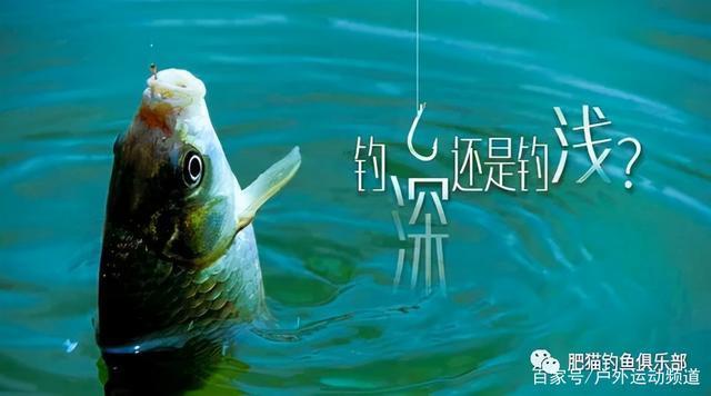 气温大幅下降的11月该钓深还是钓浅记住这2点是关键！
