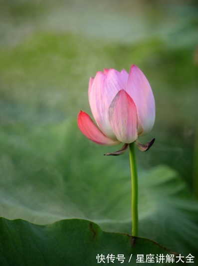 桃花朵朵|7月份开始，4属相事业大旺，财运滚滚，桃花朵朵，顺风顺水