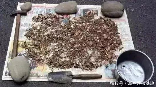 植株|家里自制养花“肥水”,每半个月给花来一点,浇一浇就长得旺!