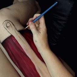 裙子|当她们掀开裙子,露出“惊艳”的大腿时,所有人都看呆了