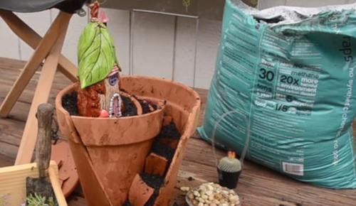 养花还在买花盆学会一招,再不用多花一分钱,一捡一大堆