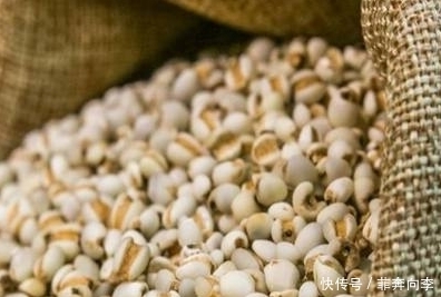 珠子|这种米营养价值非常高,祛湿效果明显,还能防癌!种植前景广阔!