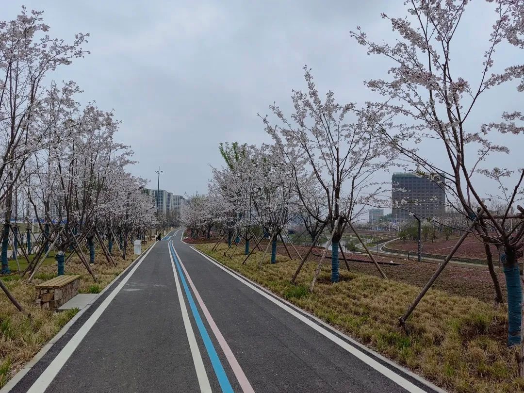 双休日武汉有弱降水发生 户外出行建议携带雨具