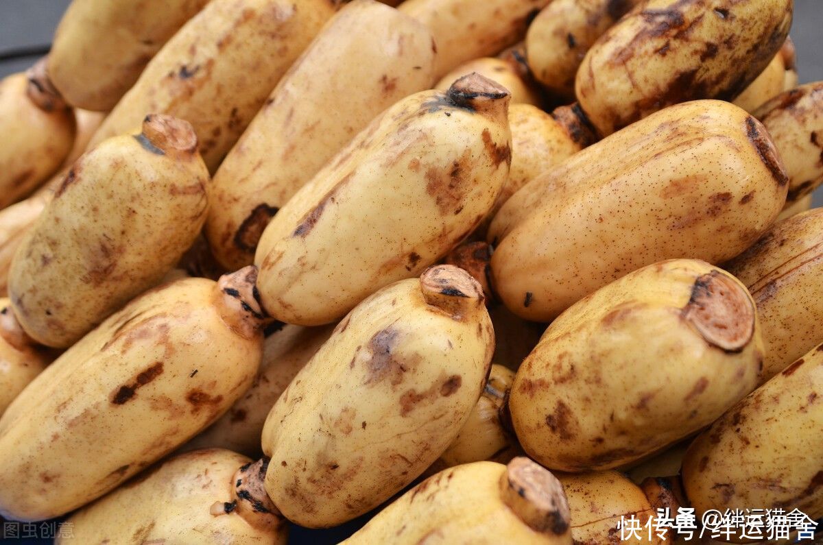 伏羊|小暑吃什么传统食物?多吃这12种食物最好