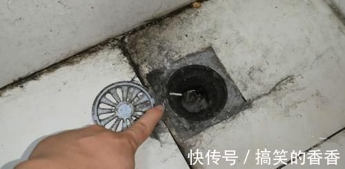 把它倒进卫生间,小飞虫立马消失不见,方法简单效果立竿见影