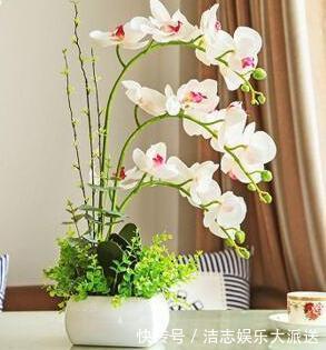 瓦片儿|吃饭剩下“大骨头”,埋花盆里,比花肥好用,高档花卉专用,养根