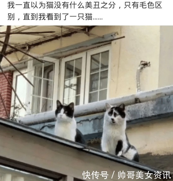 绳子|“绑根绳子能防止沙子掉吗”没看到那两根棍子吗哈哈哈