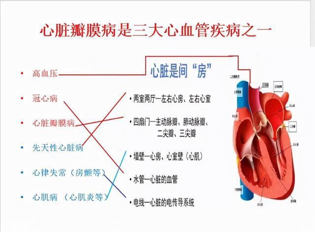 心病|超93万人观看！中国名医百强团队教您科学防治“心病”