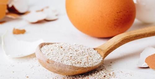 植物|用鸡蛋壳养花,少了这2步就得招虫子,养啥啥不行