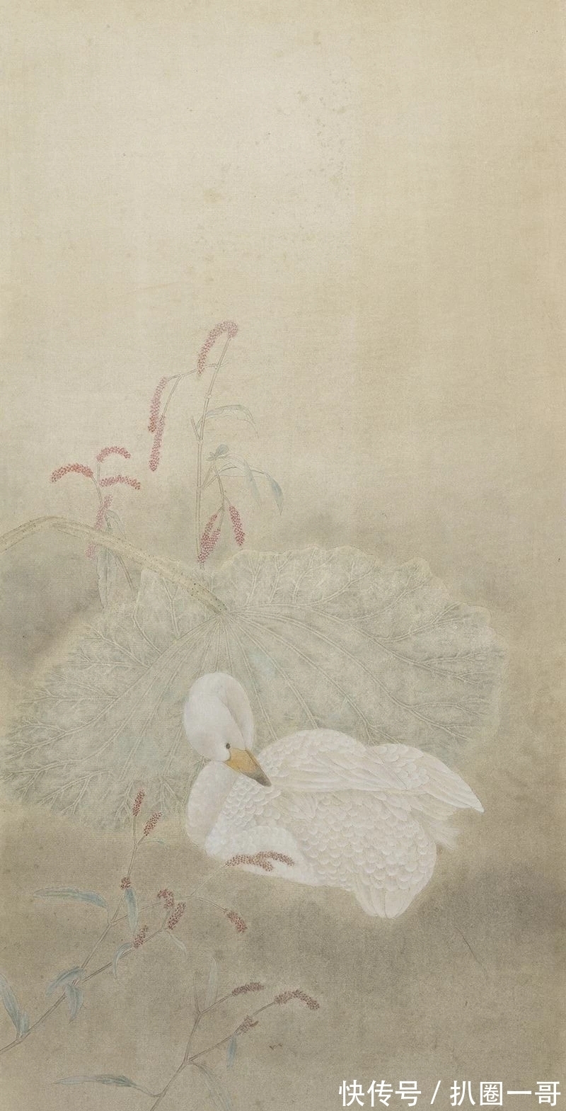 花鸟画&情境夺人｜江宏伟的“宋代”花鸟画