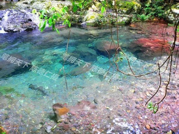 大峡谷|百崖大峡谷揽奇