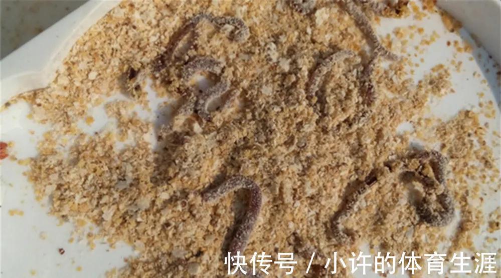 冬季打窝聚鱼慢,发窝迟,不妨试试这三招,鱼口说来就来