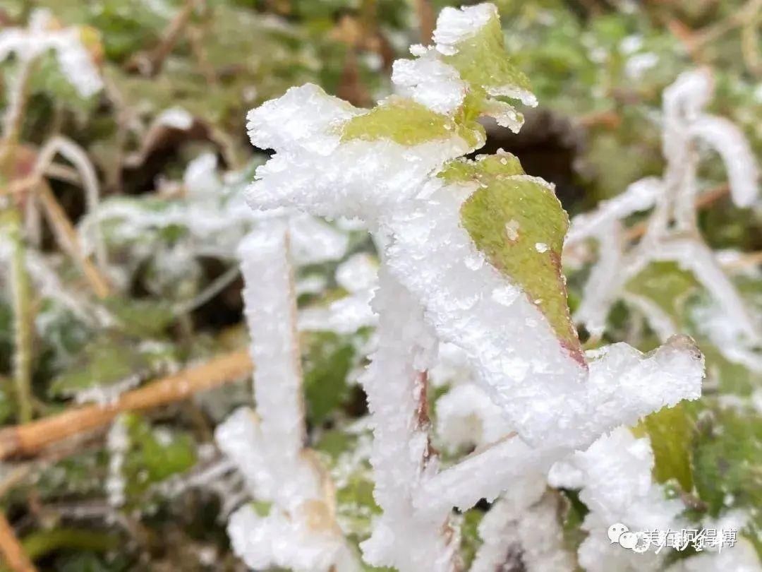 记忆 ｜寒潮再次来袭，还记得前几天的雪吗？